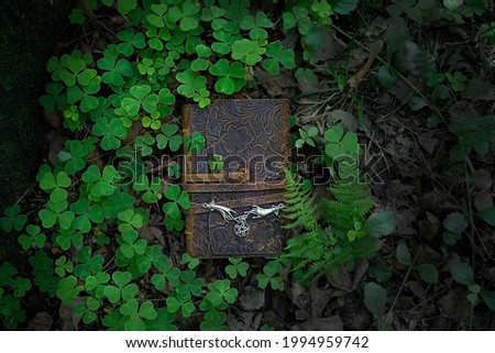 magic witch book and wiccan amulet with pentagram on forest natural dark background. Esoteric Ritual, spiritual witch practice. Mysticism, divination, modern wicca occultism concept. flat lay Royalty-Free Stock Photo #1994959742