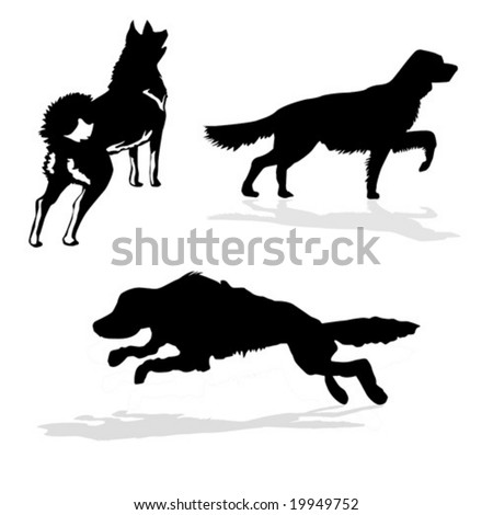 vector silhouette hunt dogs on white background