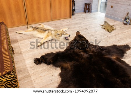 skins of a wolf and a bear on the floor in a cozy atmosphere in the hunter's house