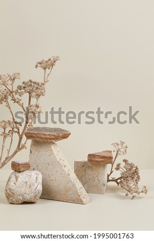 Abstract nature scene with composition of stones and dry flowers. Neutral beige background for cosmetic, beauty product branding, identity and packaging. Natural pastel colors. Copy space, front view.