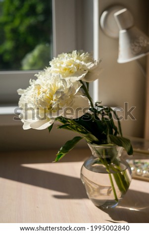 Bouquet of beautiful peony. Copy space. International Women's Day celebration. White wall background. Scandinavian interior.	