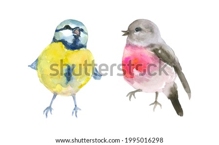 Singing small birds watercolor painting set of 2, animal collection clip art or elements artwork, hand drawn isolated on white background