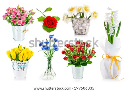 Set bunch of garden flowers. Isolated on white background