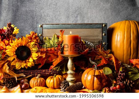 fall pumpkins and yellow sunflowers