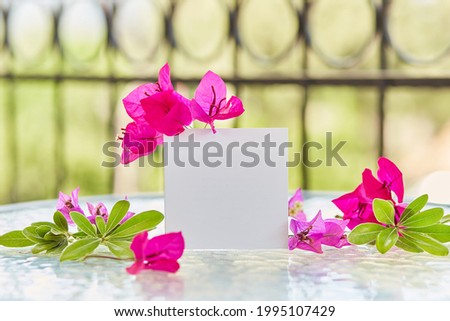 Summer white post card or invitation mockup of pink flowers of bougainvillea. Bright sunny background. Feminitive tenderness background. High quality photo