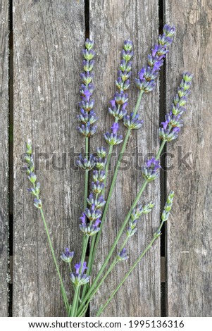 Bouquet of lavender on a wooden garden table. France.