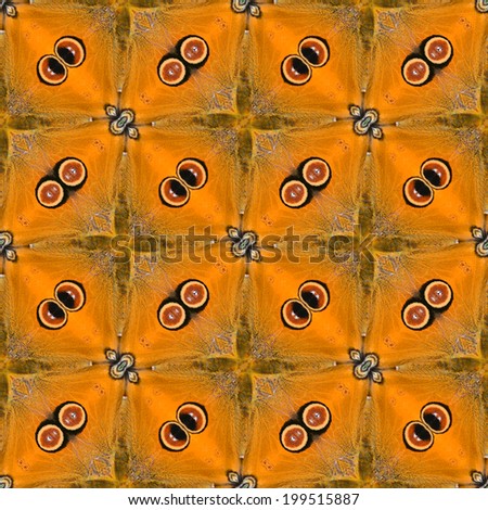 Seamless pattern made from butterfly wing background texture