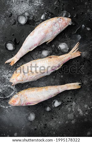Frozen surmullet  fish set, on black dark stone table background, top view flat lay