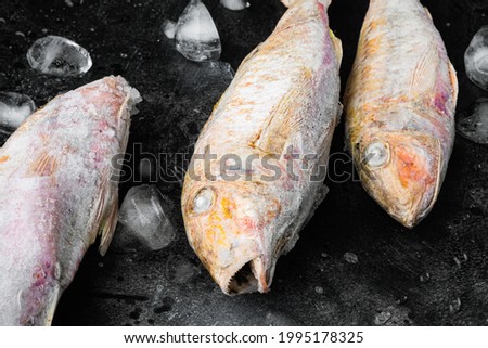 Frozen mullet or sultanka fish set, on black dark stone table background