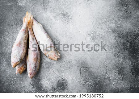Frozen mullet or sultanka fish set, on gray stone table background, top view flat lay , with copy space for text