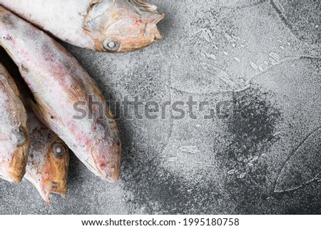 Frozen surmullet  fish set, on gray stone table background, top view flat lay , with copy space for text