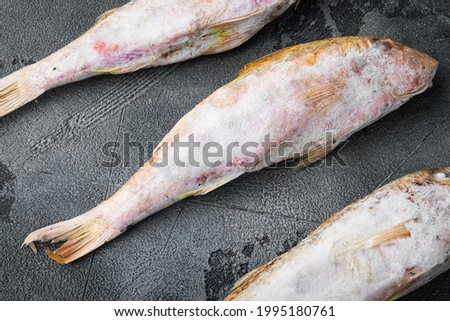 Frozen surmullet  fish set, on gray stone table background