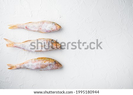Frozen mullet or sultanka fish set, on white stone table background, top view flat lay , with copy space for text