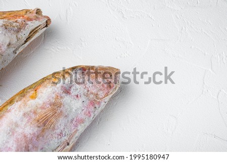 Frozen surmullet  fish set, on white stone table background , with copy space for text