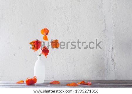red poppies in white vase on white background