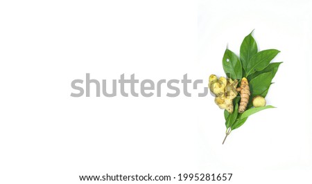 Fresh green bay leaves, turmeric leaves, lime leaves, lemongrass, turmeric and ginger are isolated on white background