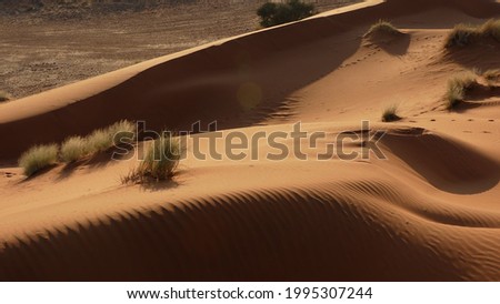 Picture of sand dunes in the middle of the desert