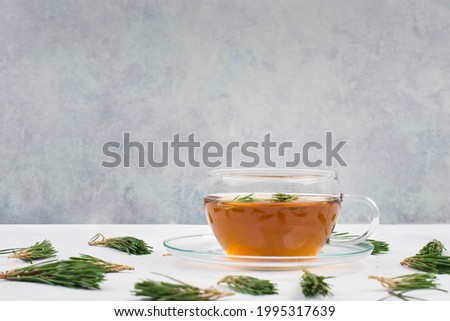 Pine needle tea in a cup on a white textured background, empty copy space for text Royalty-Free Stock Photo #1995317639