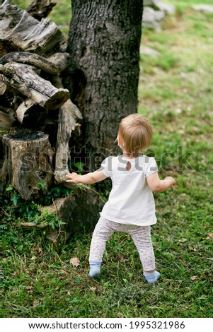 Kid stands by a pile of stumps on a green lawn