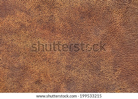 Photograph of old, weathered, rough, creased, coarse grained, exfoliated cowhide texture sample