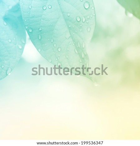 leaves in vivid color style for background