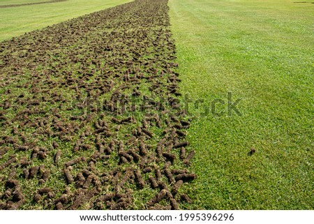 Pile of plugs of soil removed from sports field. Waste of core aeration technique used in the upkeep of lawns and turf Royalty-Free Stock Photo #1995396296