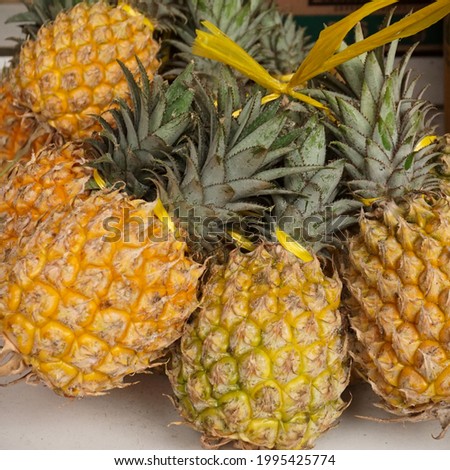 A bunch of ripe pineapple