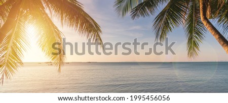 Coconut plam tree with sunset at tropical beach, Summer vacation concept, Banner panorama