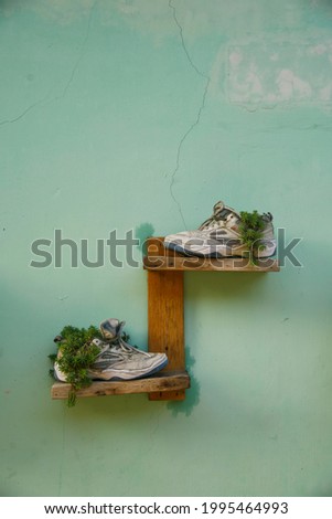 A pair of used black shoes used as a plant vase. On the right and left are also blue and purple used tires attached to the green walls. Lovely eco-friendly