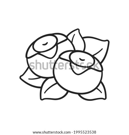 Blueberries with leaves outline line art clip art cartoon illustration. Easy simple coloring activity for kids.