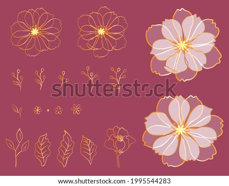 The petals are translucent, with flowers with golden lines, and many small pictures