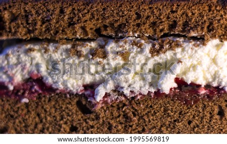 Abstract macro photography showing a creamy pattern on a piece of Wuzetka Dessert chocolate sponge cake with white cream pie originated in Poland, Pastry with hot chocolate or cream