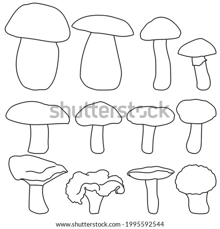 Edible mushrooms set, contour cap mushrooms of various shapes and sizes vector illustration
