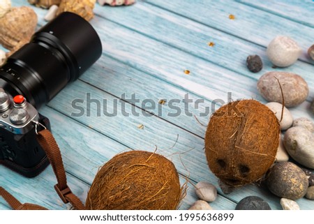 camera,coconuts and shells on a blue wooden background.Marine theme