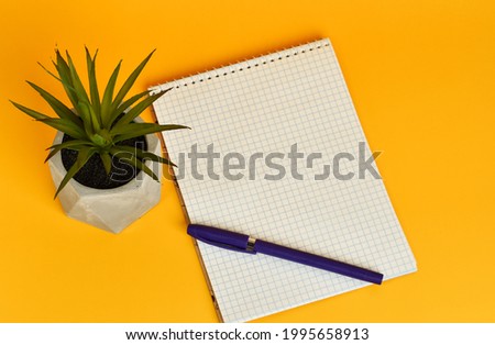 Top view office desk writing desk yellow background, squared notepad with pen for notes. Top view with copy space, flat lay. Cactus for background. High quality photo