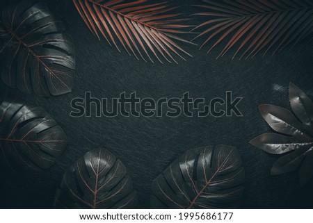 Minimal concept, Surreal colors of tropical leaves on black background, Empty space for text 