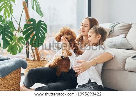 Mother with her daughter playing with dog. Cute little poodle puppy is indoors in the modern domestic room. Royalty-Free Stock Photo #1995693422