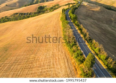 Beautiful idyllic summer landscape of Toscana with many mediterranean plants, hills, trees and fields. Sunny evening or morning in Italy. Vacation, recreation mood. Agricultural fields of Tuscany 