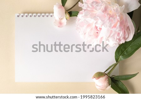 Large beige-pink peony flowers and notebook on light paper background. Image for design of greeting cards on theme of wedding, Mother's Day, birthday and other greetings.