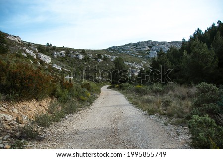 Deserted road leading to rocks among bushes