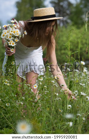Beautiful woman in a straw hat gathering flowers on a field of camomiles.