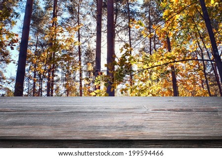 Picnic table in forest