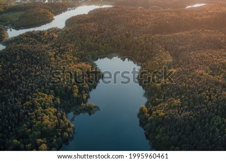 An aerial shot of branches of a river surrounded by trees and forests