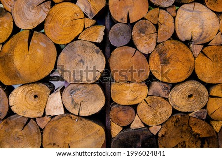 Wood texture background have many logs that cut from big tree and small tree