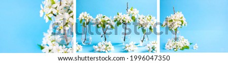 White apple and pear flowers in vases on a blue background. A picture on the wall. Triptych. Poster
