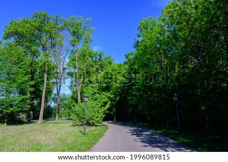 Landscape with old green trees and grey alley in Mogosoaia Park (Parcul Mogosoaia), a weekend attraction close to  Bucharest, Romania, in a sunny spring day