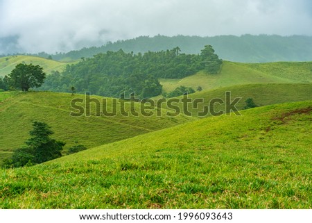 Tablelands lush green landscape covered by fog
