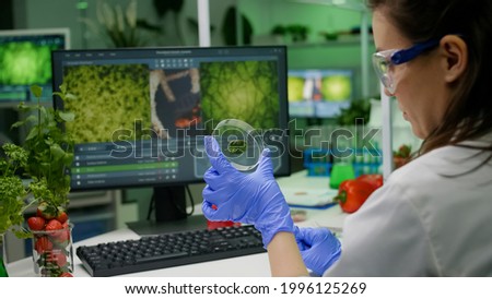 Botanist researcher holding petri dish with green leaf sample analyzing genetic mutation after biological gmo test. Chemist scientist researching botany plants working in microbiology laboratory Royalty-Free Stock Photo #1996125269