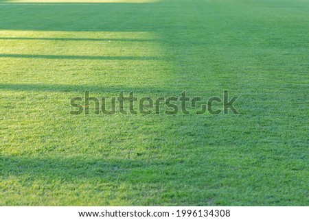 Texure of green grass field lawn with lighting signs at the soccer stadium outdoors.Selective focus.Copy space.