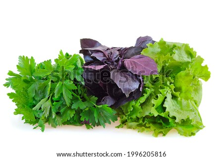 Greens for preparing tasty and healthy food.  Royalty-Free Stock Photo #1996205816